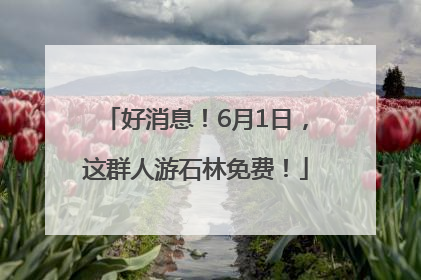 好消息！6月1日，这群人游石林免费！