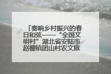 奏响乡村振兴的春日和弦——“全国文明村”湖北省安陆市赵棚镇团山村农文旅融合发展见闻