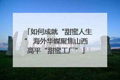 如何成就“甜蜜人生” 海外华媒聚焦山西高平“甜蜜工厂”