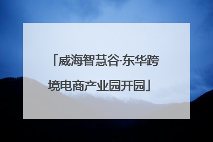 威海智慧谷·东华跨境电商产业园开园