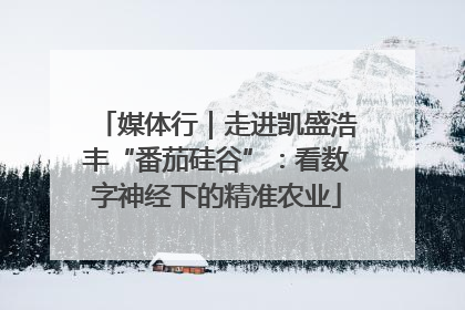 媒体行｜走进凯盛浩丰“番茄硅谷”：看数字神经下的精准农业