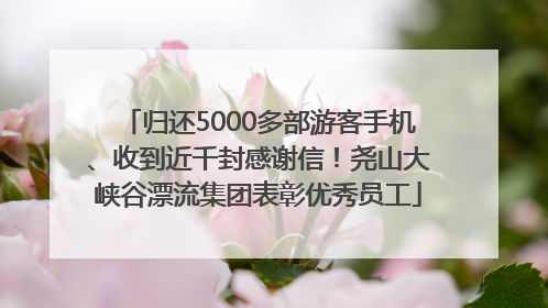 归还5000多部游客手机、收到近千封感谢信！尧山大峡谷漂流集团表彰优秀员工