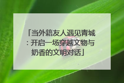 当外籍友人遇见青城：开启一场穿越文物与奶香的文明对话