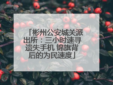 彬州公安城关派出所：三小时速寻遗失手机 锦旗背后的为民速度