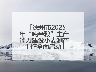 德州市2025年“吨半粮”生产能力建设小麦测产工作全面启动