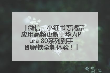 微信、小红书等鸿蒙应用高频更新，华为Pura 80系列到手即解锁全新体验！