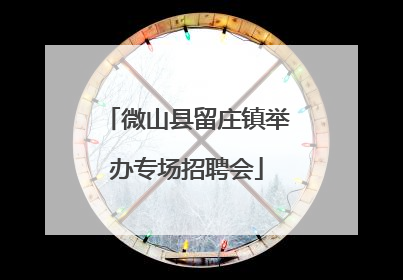 微山县留庄镇举办专场招聘会