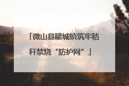 微山县驩城镇筑牢秸秆禁烧“防护网”
