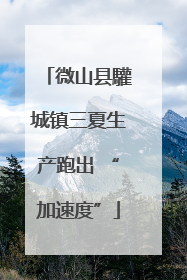 微山县驩城镇三夏生产跑出 “加速度”