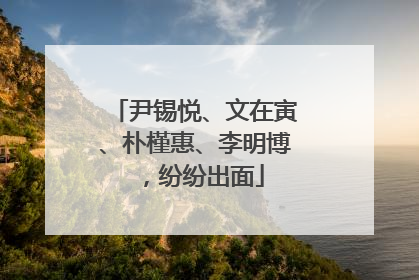 尹锡悦、文在寅、朴槿惠、李明博，纷纷出面