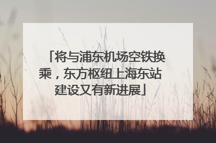 将与浦东机场空铁换乘，东方枢纽上海东站建设又有新进展