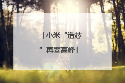 小米“造芯”再攀高峰