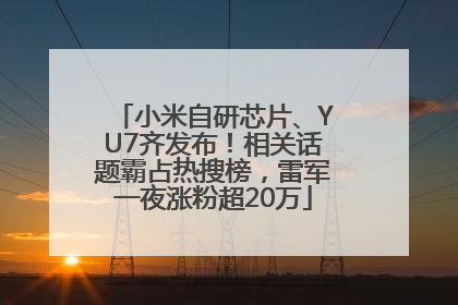 小米自研芯片、YU7齐发布！相关话题霸占热搜榜，雷军一夜涨粉超20万