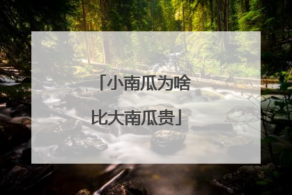 小南瓜为啥比大南瓜贵