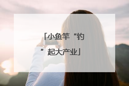 小鱼竿“钓”起大产业