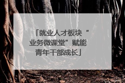 就业人才板块“业务微课堂”赋能青年干部成长