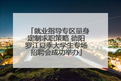 就业指导专区量身定制求职策略 德阳罗江夏季大学生专场招聘会成功举办