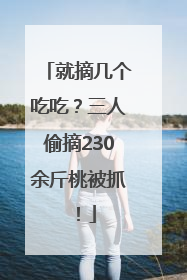 就摘几个吃吃？三人偷摘230余斤桃被抓！
