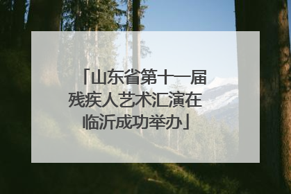 山东省第十一届残疾人艺术汇演在临沂成功举办