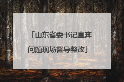 山东省委书记直奔问题现场督导整改