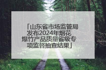山东省市场监管局发布2024年烟花爆竹产品质量省级专项监督抽查结果