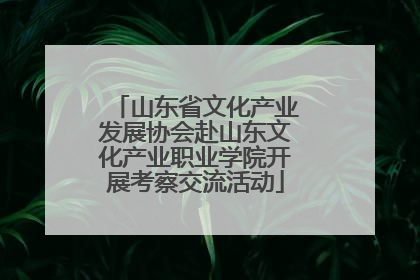 山东省文化产业发展协会赴山东文化产业职业学院开展考察交流活动