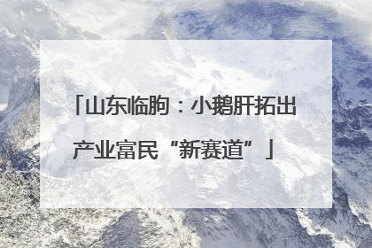 山东临朐：小鹅肝拓出产业富民“新赛道”