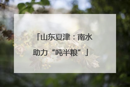 山东夏津：南水助力“吨半粮”