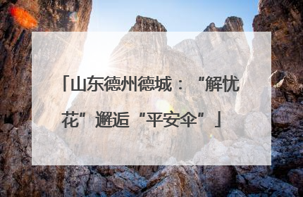 山东德州德城：“解忧花”邂逅“平安伞”