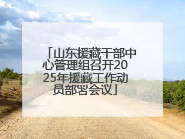 山东援藏干部中心管理组召开2025年援藏工作动员部署会议
