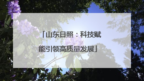山东日照：科技赋能引领高质量发展