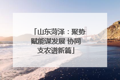山东菏泽：聚势赋能谋发展 协同支农谱新篇