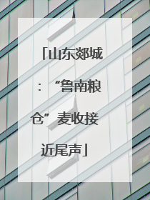 山东郯城：“鲁南粮仓”麦收接近尾声