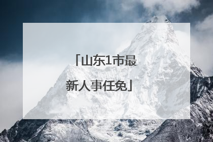 山东1市最新人事任免