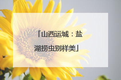 山西运城：盐湖捞虫别样美