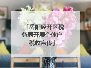 岳阳经开区税务局开展个体户税收宣传