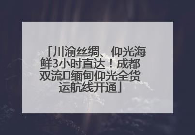 川渝丝绸、仰光海鲜3小时直达！成都双流⇌缅甸仰光全货运航线开通