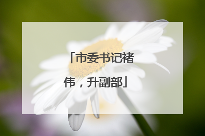 市委书记褚伟，升副部