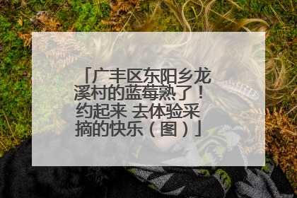 广丰区东阳乡龙溪村的蓝莓熟了！约起来 去体验采摘的快乐（图）