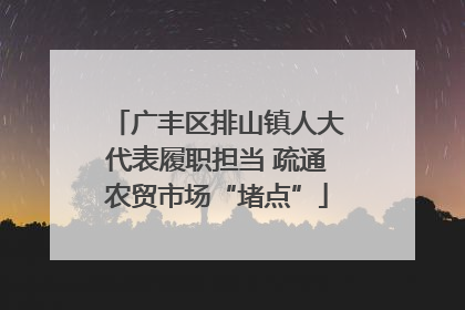 广丰区排山镇人大代表履职担当 疏通农贸市场“堵点”