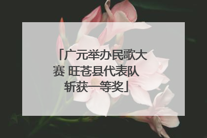 广元举办民歌大赛 旺苍县代表队斩获一等奖