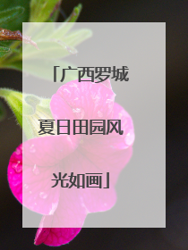 广西罗城夏日田园风光如画