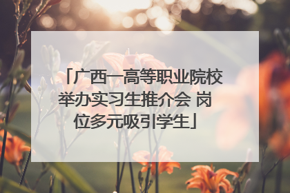 广西一高等职业院校举办实习生推介会 岗位多元吸引学生