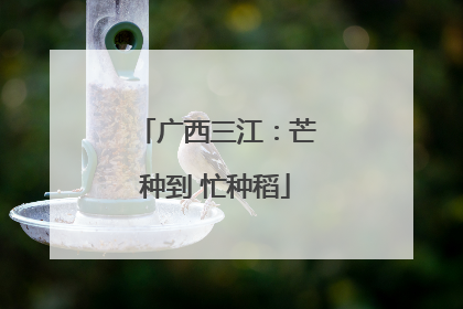 广西三江：芒种到 忙种稻