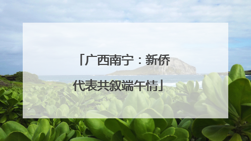 广西南宁：新侨代表共叙端午情
