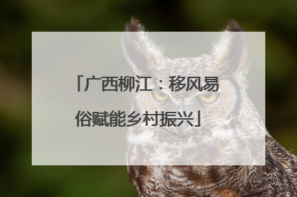 广西柳江：移风易俗赋能乡村振兴