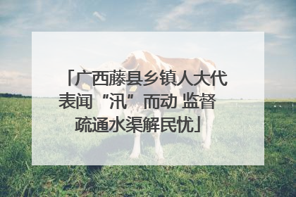 广西藤县乡镇人大代表闻“汛”而动 监督疏通水渠解民忧