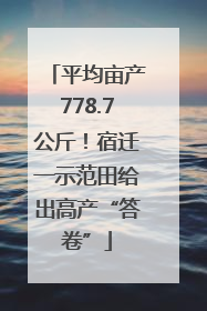 平均亩产778.7公斤！宿迁一示范田给出高产“答卷”