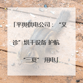 平舆供电公司：“义诊”烘干设备 护航 “三夏” 用电