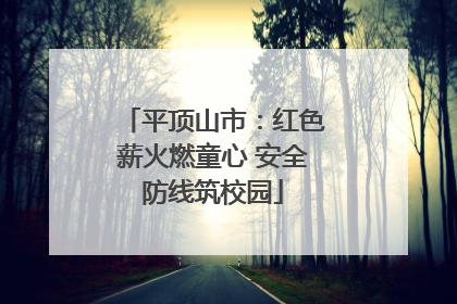 平顶山市：红色薪火燃童心 安全防线筑校园